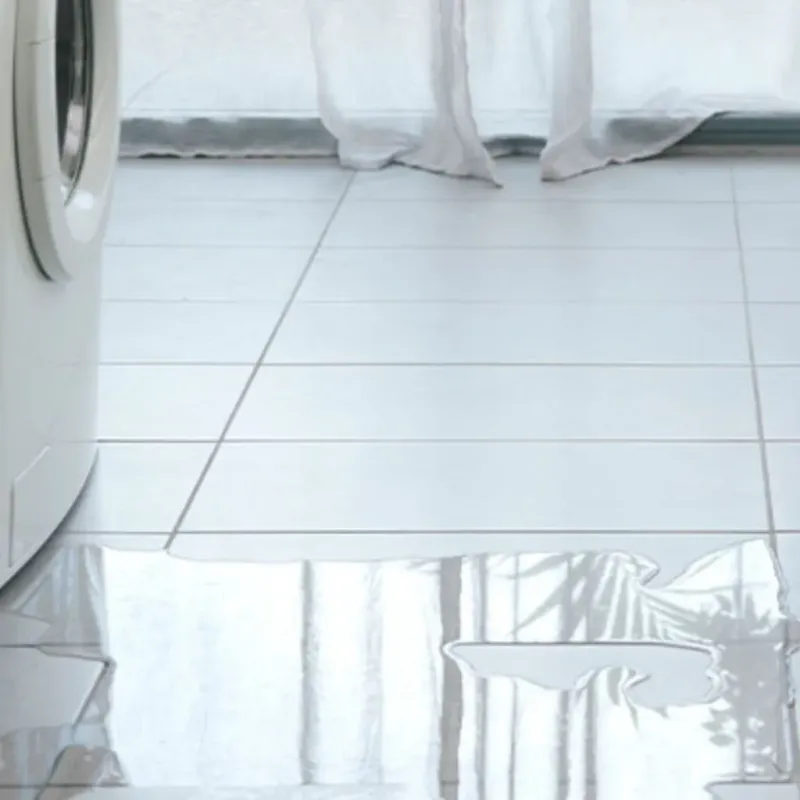 Appliance Leak Cleanup in Bertsch-Oceanview, CA