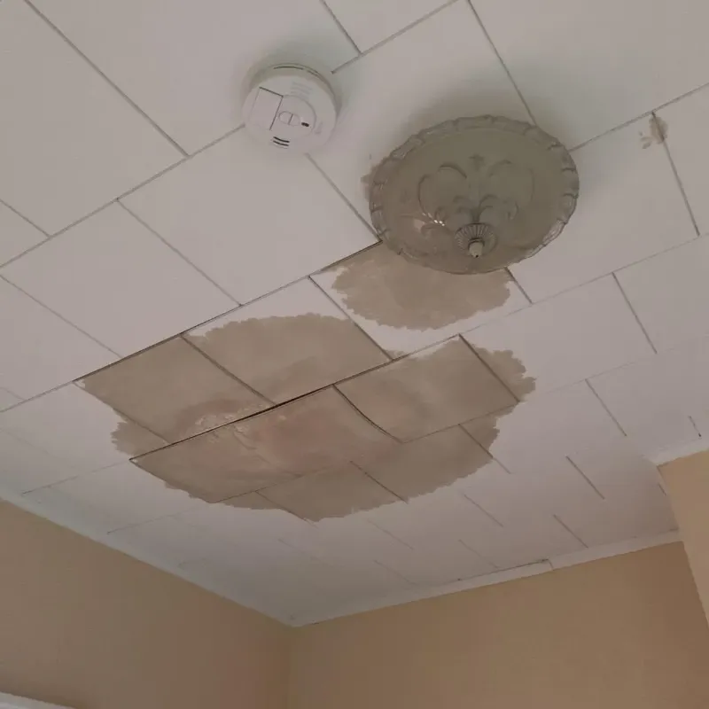 Ceiling Water Damage Repair in Bertsch-Oceanview, CA