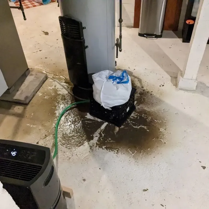 Sewage Backup Cleanup Service in Bertsch-Oceanview, CA
